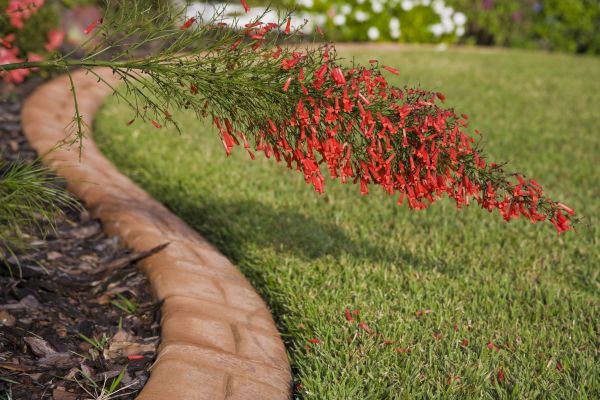 Brick Edging in Breckenridge