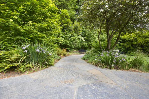 Stone Hardscape Service in Breckenridge