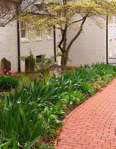 Brick Flatwork Repair in Breckenridge